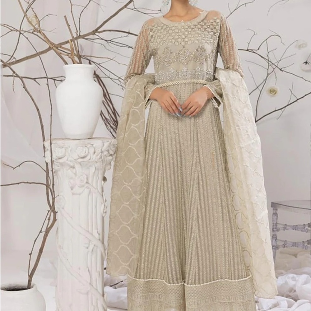 Elegant Pakistani Indian Beige Embellished Dress